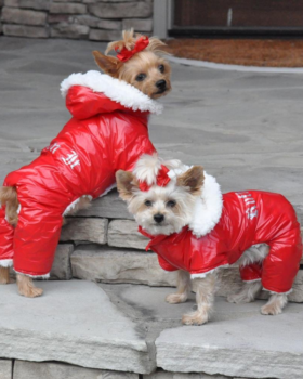Doggie Design Ruffin' It Dog Snowsuit Harness