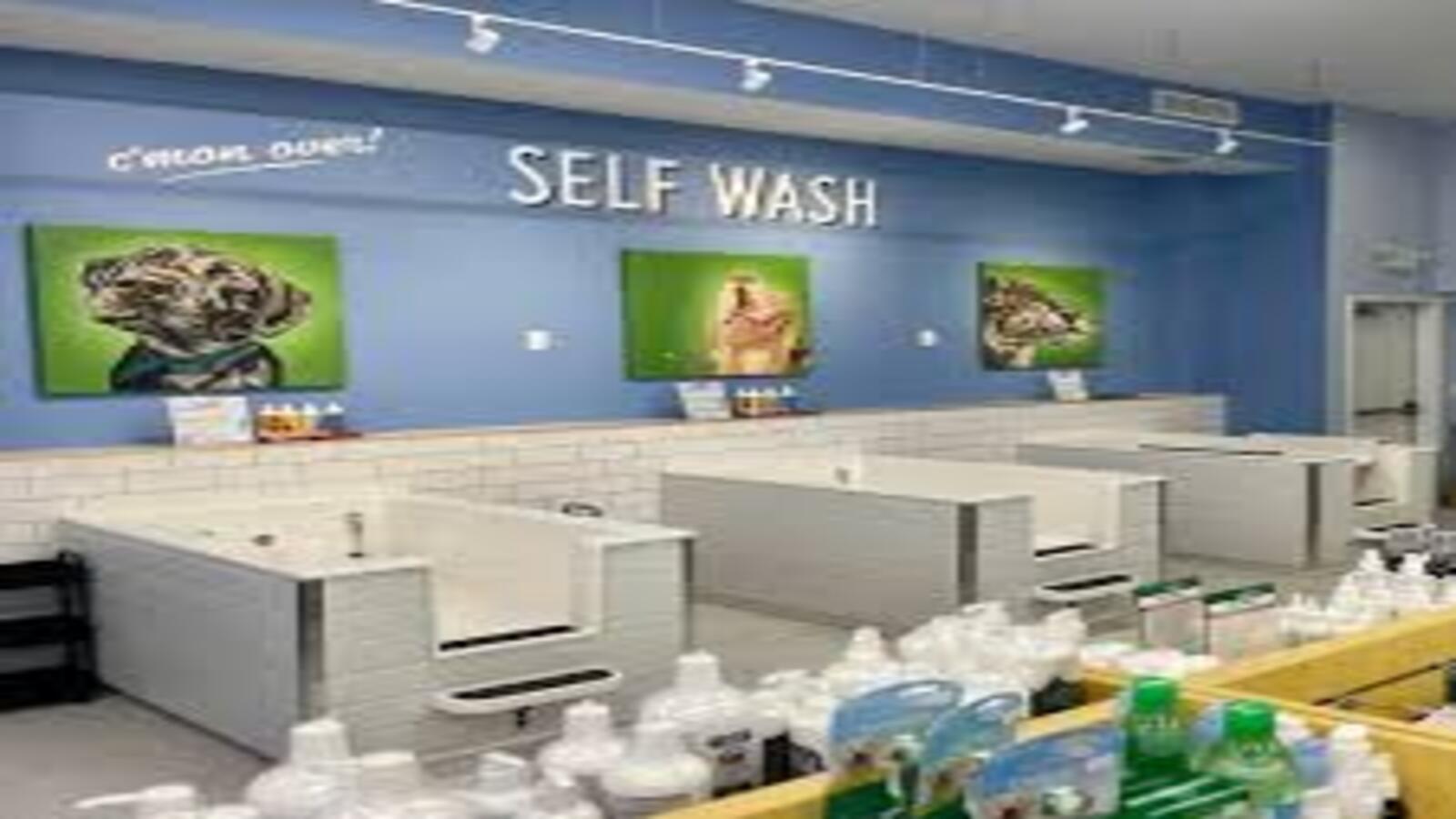 What is Self-Service Dog Wash? The Ultimate Guide for Dog Owners