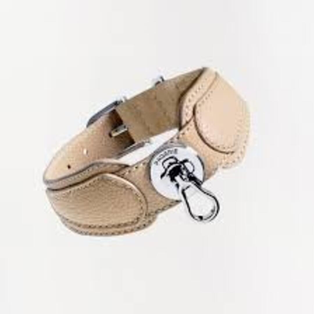 Top Dog Accessories for Comfort & Style